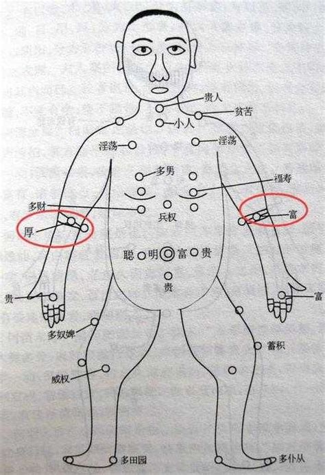 上手臂有痣|痣的位置透露出這些訊息！上手臂有痣不乏追求者、手。